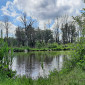 Natur pur am Bingstetter See